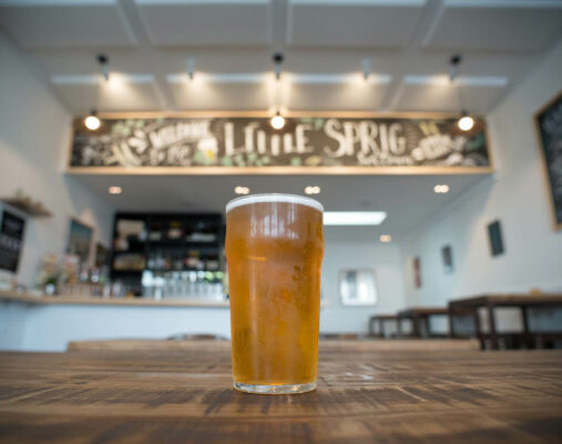 A pint of beer at Little Sprig Seatoun