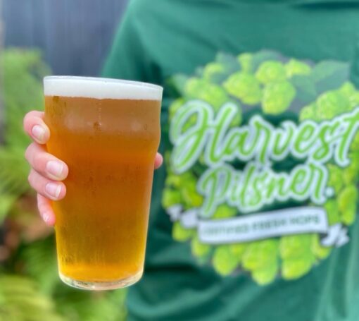 A pint of Sprig and Fern's fresh hop Harvest Pilsner being held by someone in a Harvest Pilsner tee shirt